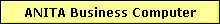 ANITA Business Computer